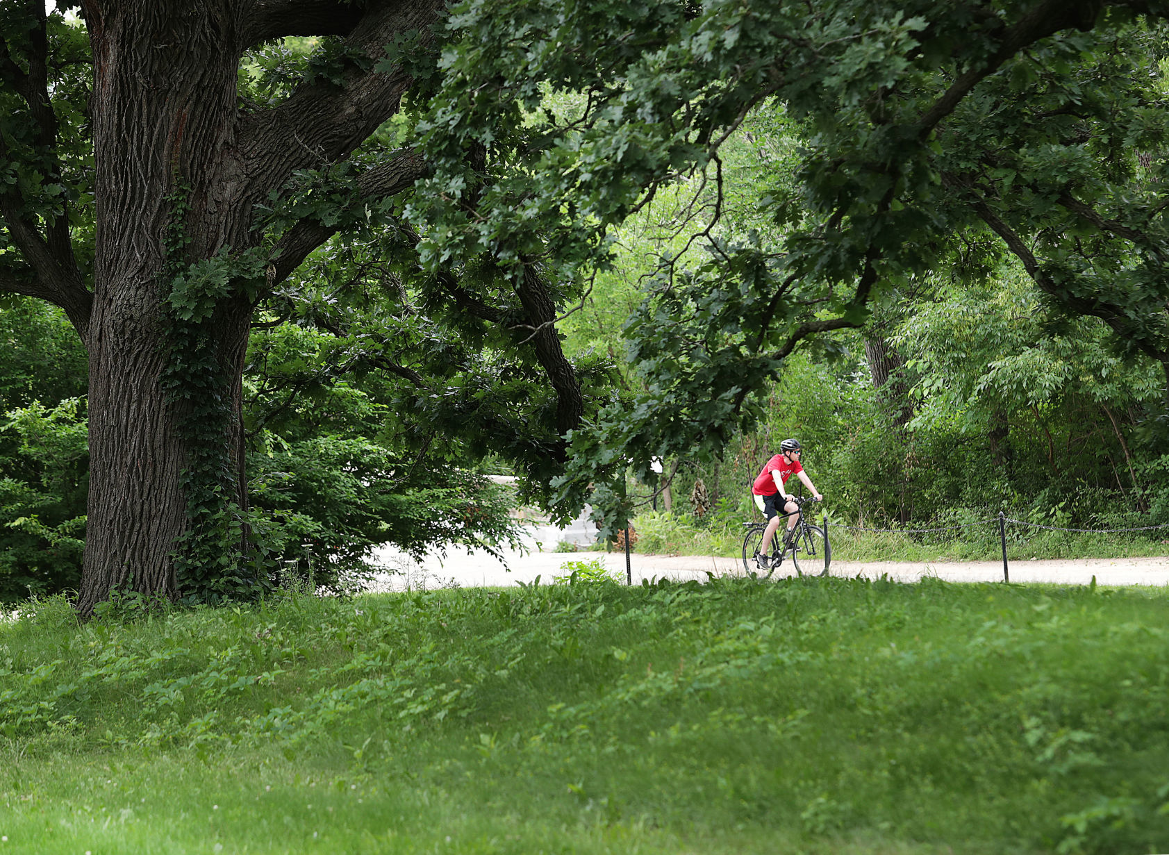 UW Indian Mounds